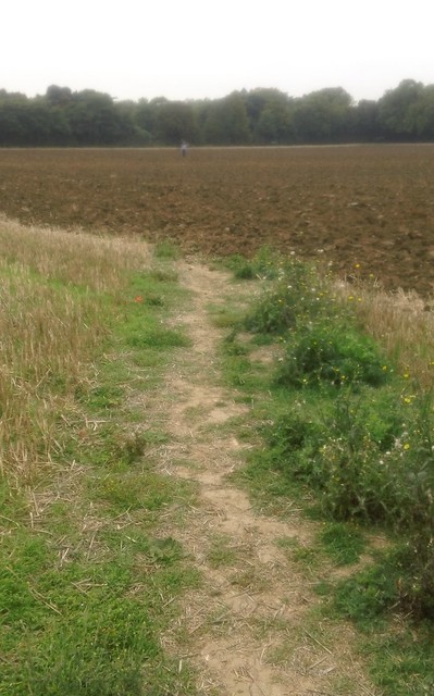 Farmer wants a ploughed field... Near Lenham