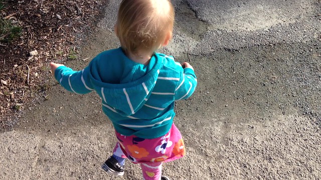 Zoe toddling down the path at a public garden