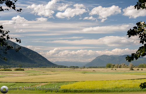 unitedstates idaho kootenai bonnersferry northernidaho kootenaigamereserve