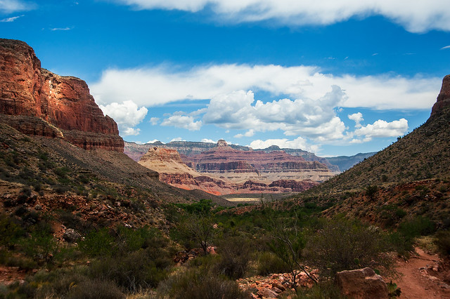 Grand-Canyon - Arizona - USA