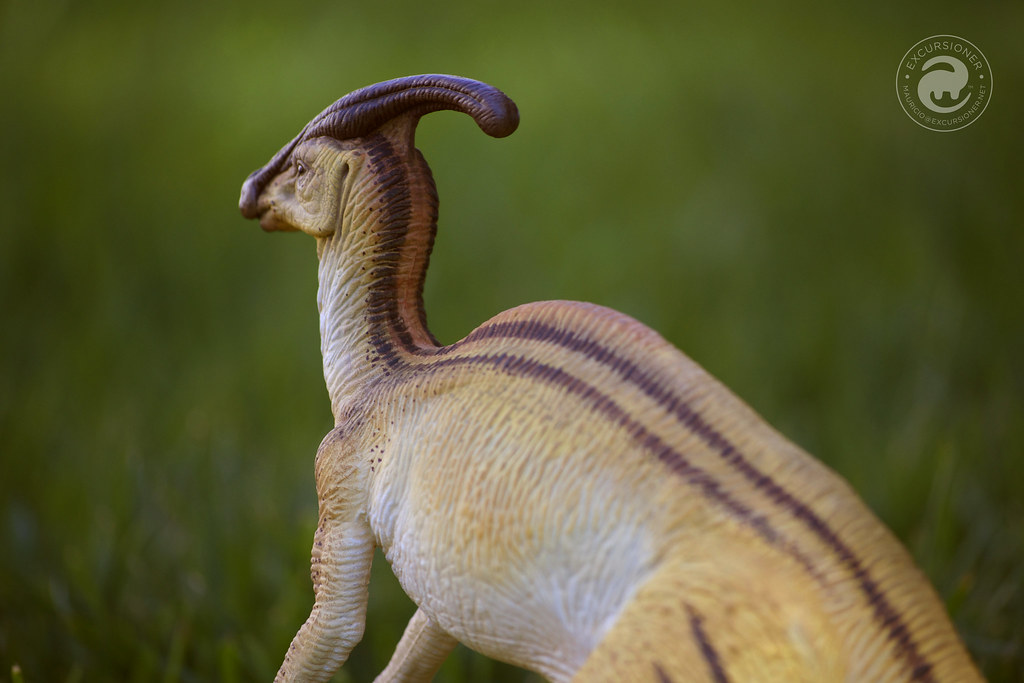 Parasaurolophus Model
