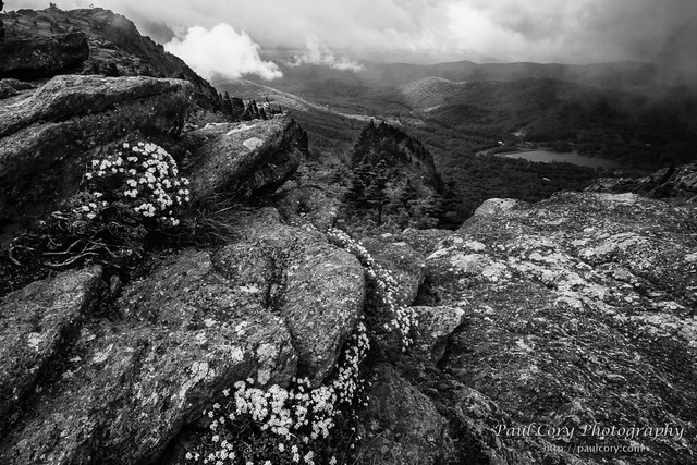 Flowers, Rocks and Clouds