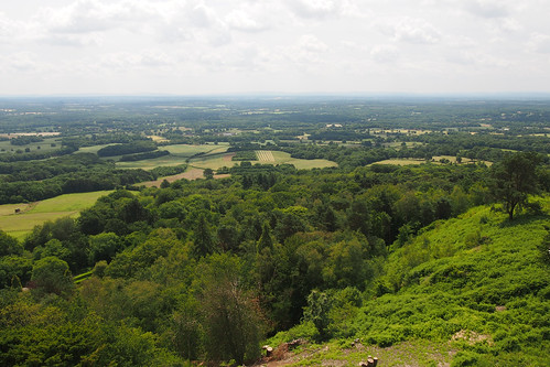View from Leith Hill Tower 