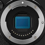 Buddy Icon