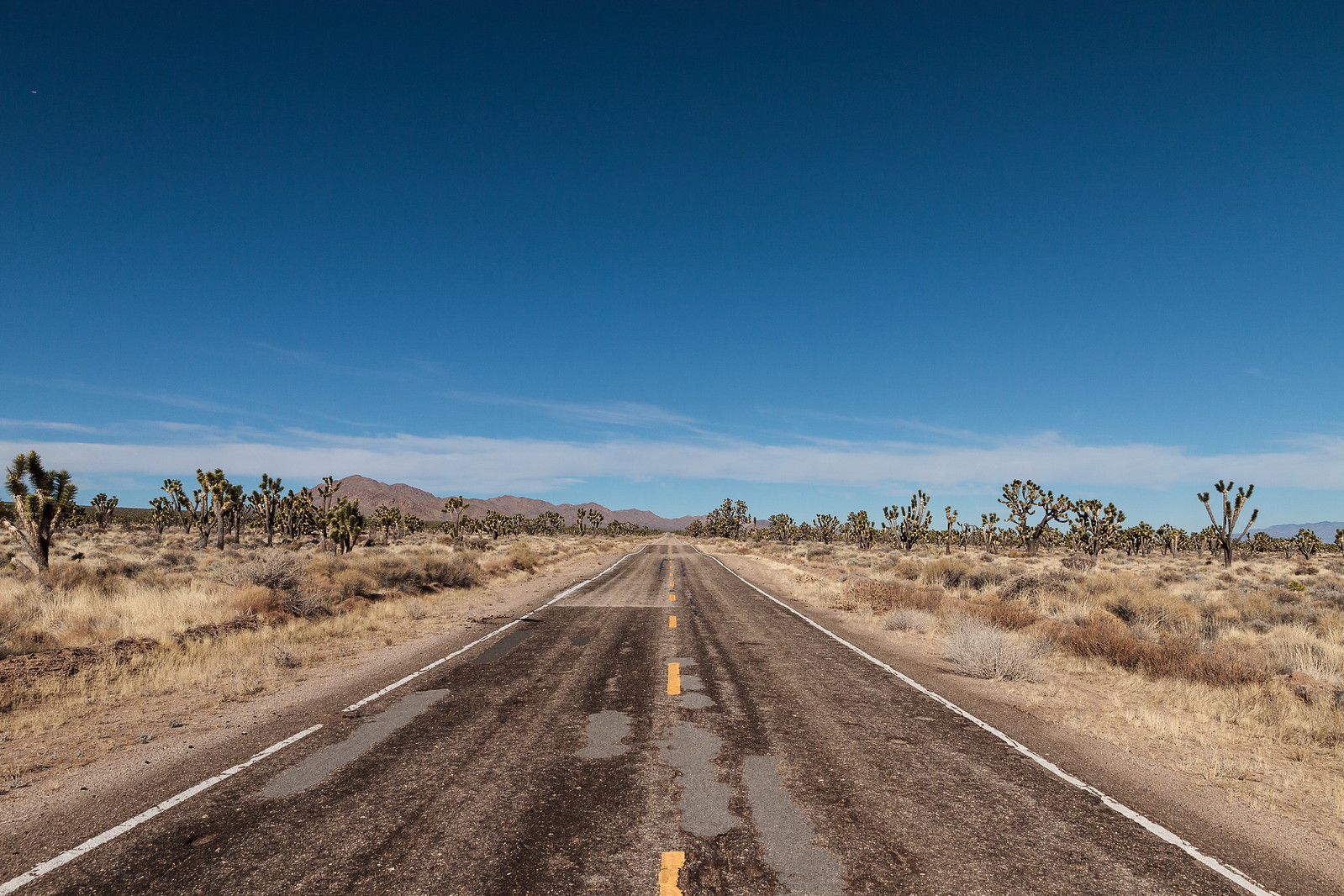 Desert Highway