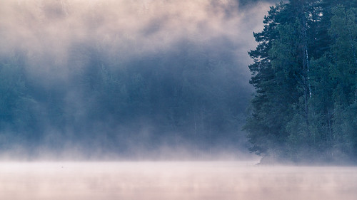 summer mist lake nature water fog night forest sunrise finland pond kuopio