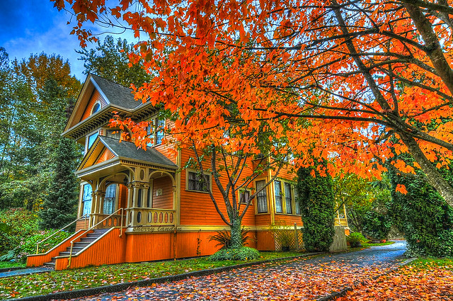 vibrant fall colour at Deas Island heritage house