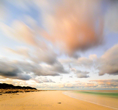 ocean beach clouds sunrise sand australia wa coastline wildflowers westernaustralia sanddunes hangoverbay
