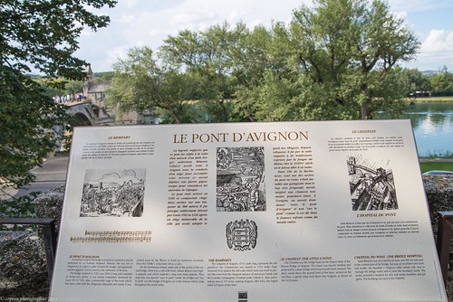 Pont d'Avignon (Pont Saint-Bénézet)