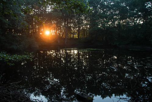 20140814-IMG_4388.jpg by dr_knox, sunset deutschland sonnenuntergang brandenburg ereignis boitzenburgerland dreetzsee2014
