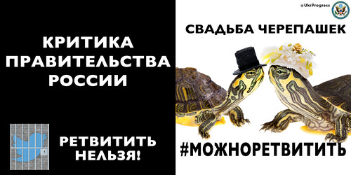 Turtle_RUS | by iipstate