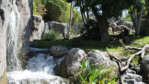 Tropical River Background | by sillarsclass