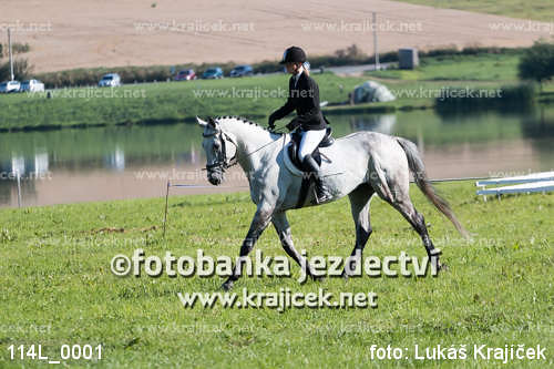 Finále Zlaté podkovy 22.-24.8.2014 - Humpolec: drezura