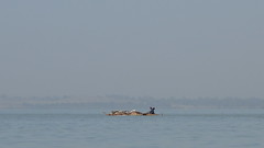Bahir Dar et le Lac Tana, une des sources du Nil
