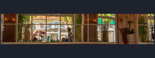 Flickr header (see below) | by Mr Joel's Photography