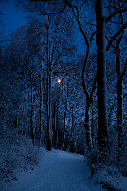 Blue Winter Moon
