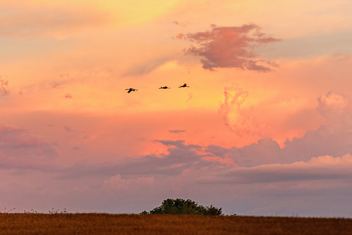 wisconsin clouds sunrise unitedstates crane leeds sandhill ©jrj