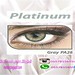 platinum gray pa28