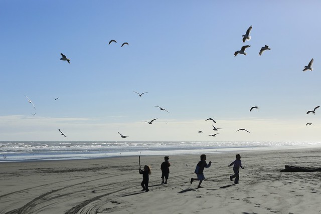 Winter Solstice Children and Seagulls Foxton Beach North Island New Zealand