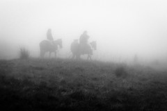 Into The Fog 2