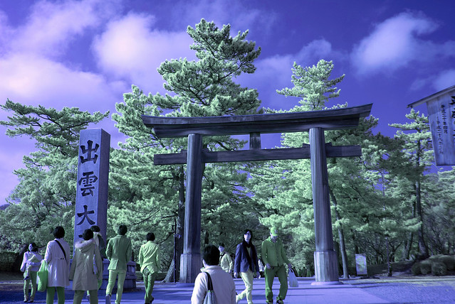 Izumo-taisha Torii In Infrared