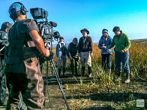 2012-10-09 Boundary Bay Wetlands-7 | by NatureKids BC