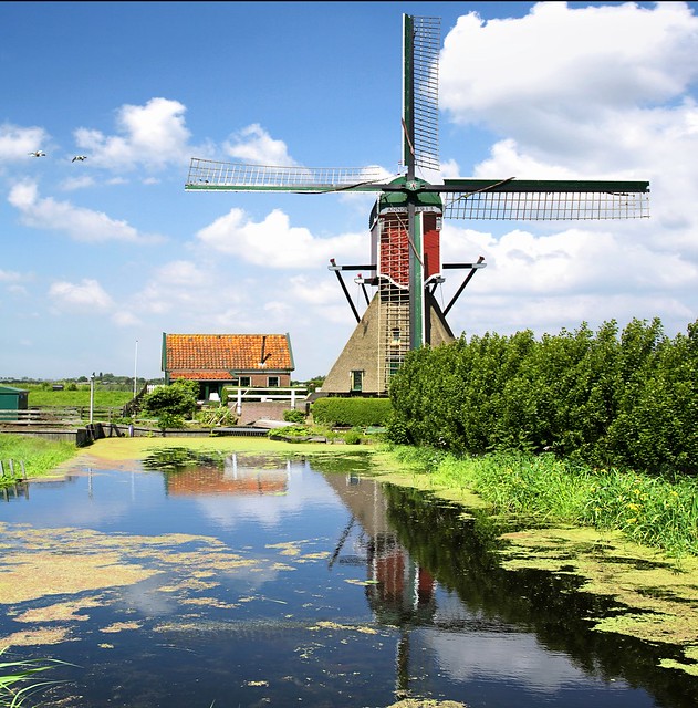 The Vlietmolen mill along the meadows and reed