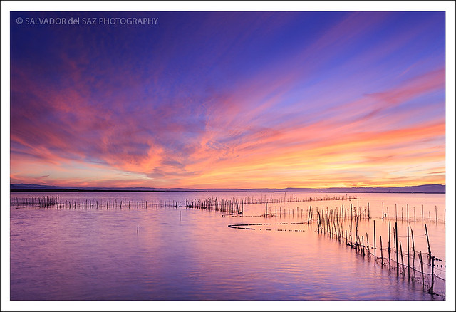 L'Albufera lake sunset III