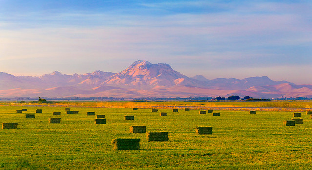Sutter Buttes and Hay Bales