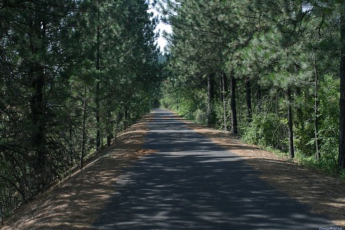 spokane outdoor trail spokanewa spokanewashington spokanecounty fishlaketrail