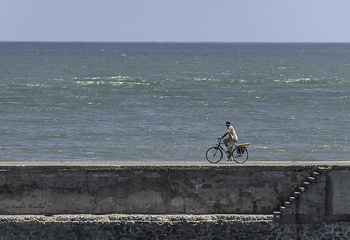 ocean cyclist