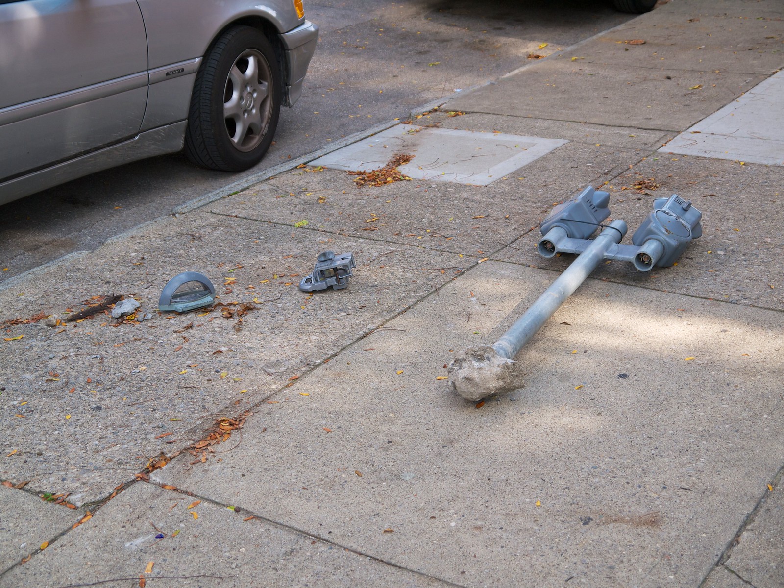 Murdered Parking Meter