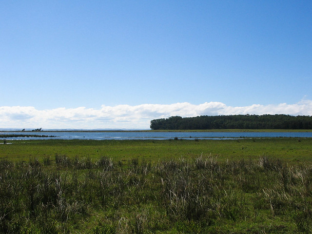 Laguna de Rocha II