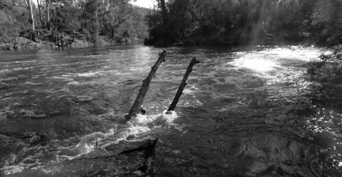 Warrandyte, Pound Bend 2014 July | by Graeme Butler