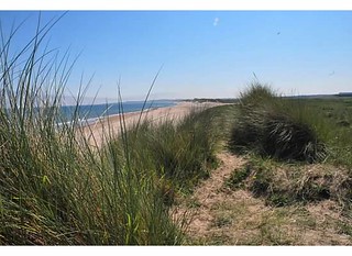 download druridge bay