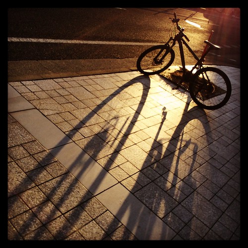 sunset shadow bicycle 山形 自転車 日没