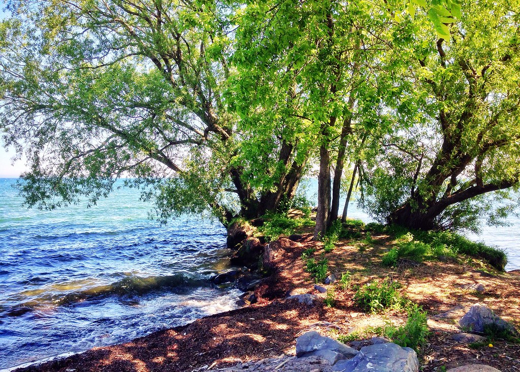 Hamlin Beach State Park