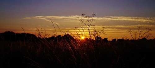 trees sunset sky panorama sun grass landscape soleil shropshire pano wheat shrewsbury fields