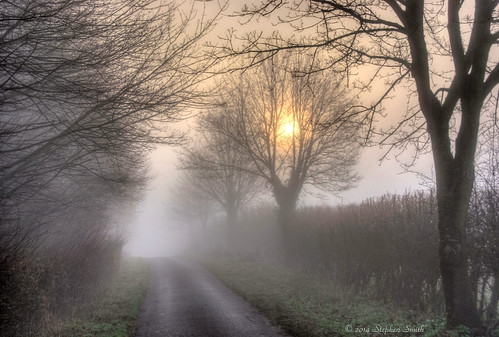 uk morning trees england mist landscape dawn march countryside early spring nikon scenery northamptonshire countrylane hdr 2014 hedgerows grangeroad d80 geddington