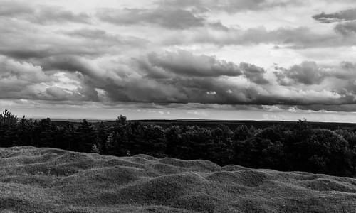 trees sky blackandwhite bw france clouds canon landscape shadows hills craters worldwari battlefield lorraine canonef1740mmf4lusm verdun douaumont fortdouaumont shellholes canon6d