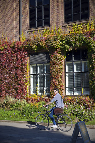 Male Student on Bike with flowers and Virginia Creeper Ivy UNI_8119