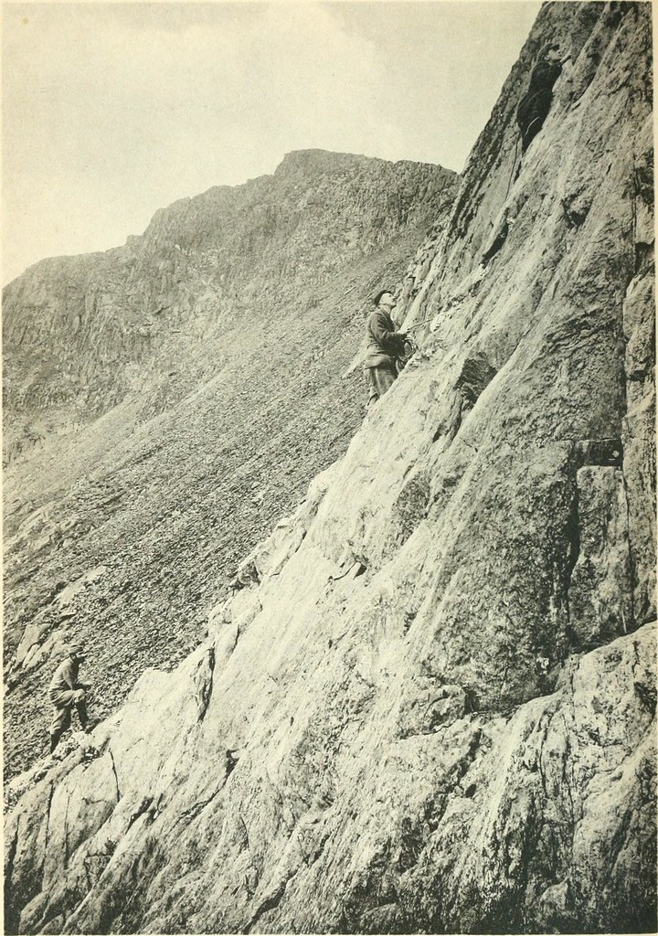 Image from page 279 of 
