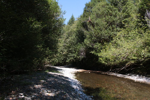 Dry Creek by rozoneill, Dry Creek, near Sixes, Oregon USAoregon forest river hiking national bandon wilderness rogue knob si