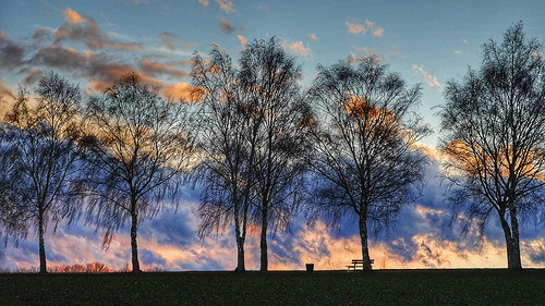 sundown sunset clouds trees birches bench