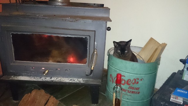 Brrrr - time to chuck another cat on the fire