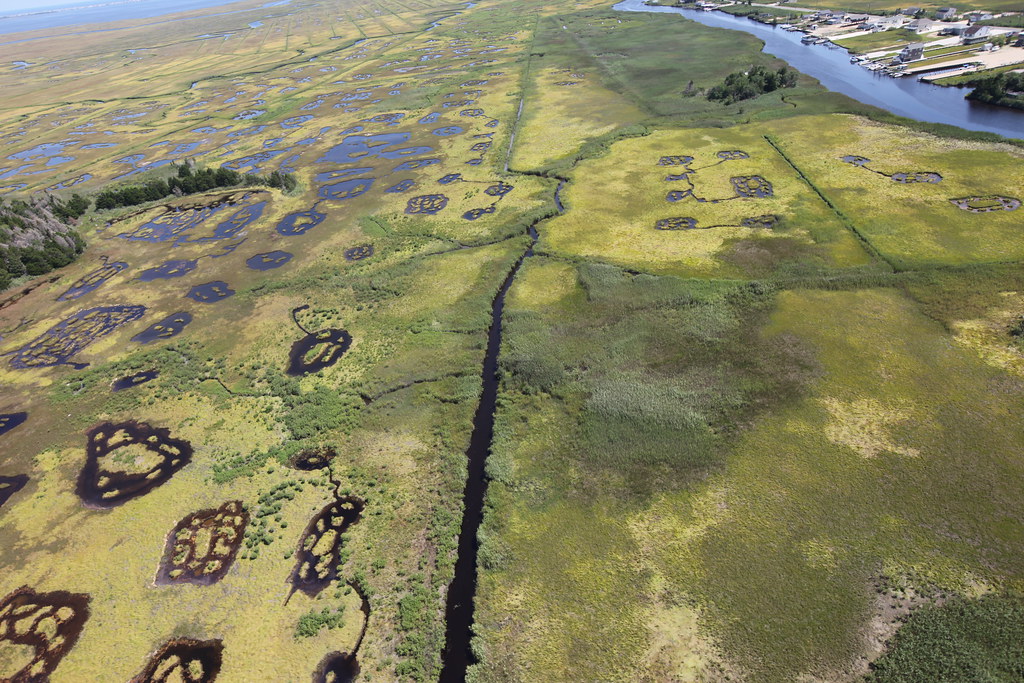 Marsh and bogs at Edwin B. Forsythe National Wildlife Refuge - a photo ...