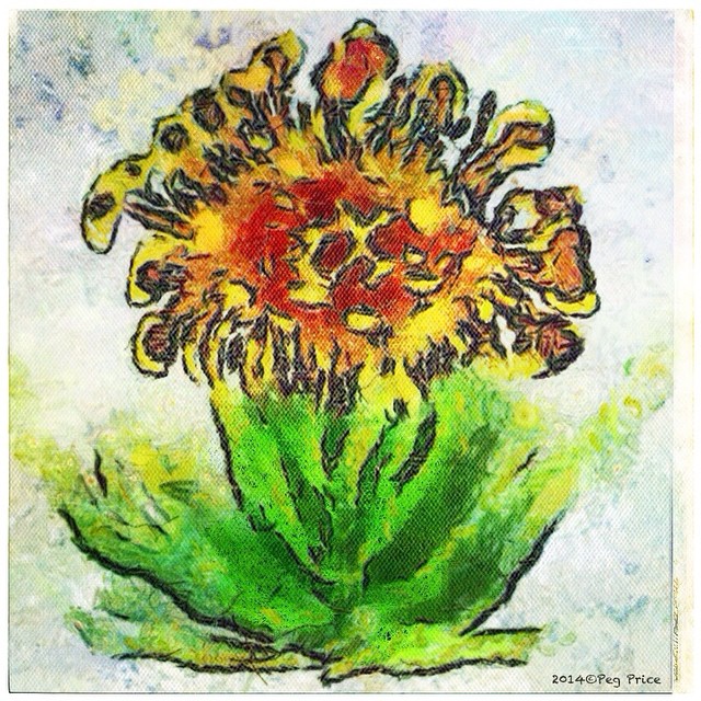 I drew this flower in Art Set and ran it through AutoPainter, DistressedFX, and Snapseed. #magicpict #artset#autopainter#snapseed #distressedfx #iphone5s #flowers #drawing#art