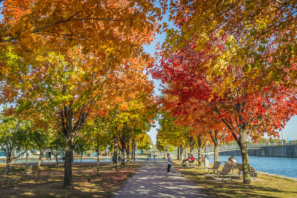 L'automne au Vieux-Port de Montréal | Le Vieux-Port de Montr… | Flickr