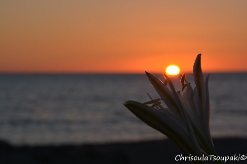 1/10/14 by Chrisoula Tsoupaki - Liviko apartments,  #Frangokastello #Sfakia #Cretecrete sfakia frangokastello