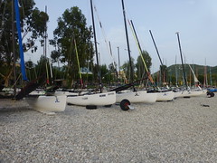 Hobie cats ready and waiting